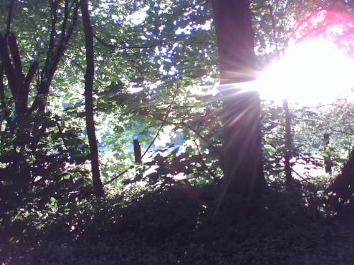 A beautiful evening - It was a stunning evening....so warm.