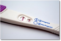 Pregnancy Test - I see a baby in your future ... LoL