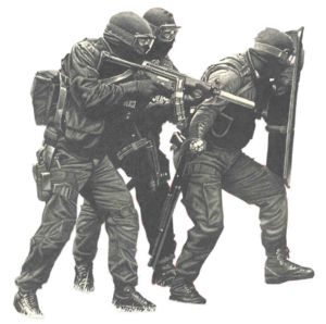 Similar to the SWAT team that raided the neighbor' - A bit scary to see these guys with all their weapons drawn standing 15 ft. from your house.