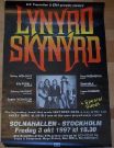 Lynyrd Skynyrd - the music group