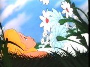 picture of alice in wonderland - this is a picture of alice in wonderland
