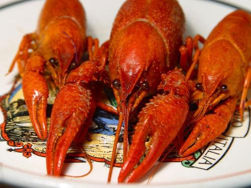 Crawfish - Boiled crawfish.
