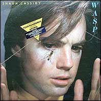 Shaun Cassidy - Pop music