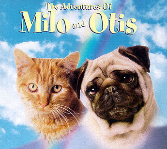 milo and otis - the adventures of milo and otis