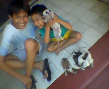 neru & nico - These are my nephews, neru & nico