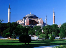 Turkey - turkey