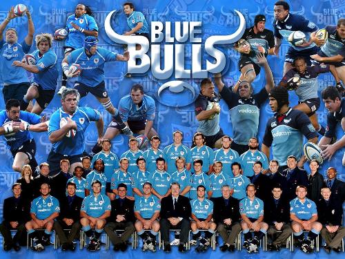 Blue Bulls - Wallpaper of the Blue Bulls team