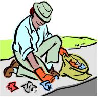 volunteer work - volunteer work e.g. litter picking