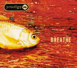Prodigy - Album Cover