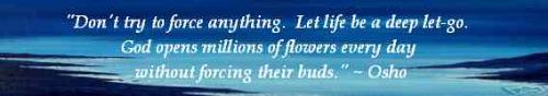 favorite saying - Don't try to force anything.  Let life be a deep let-go.  God opens millions of flowers every day without forcing their buds. ~Osho  I love this saying.  'Let life be a deep let-go,' is one mantra I use to relieve tension and anxiety.
