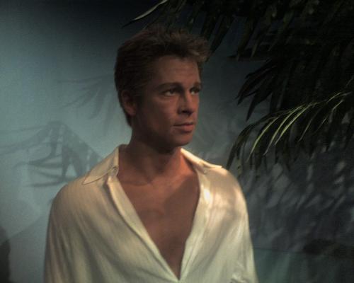 Brad Pitt  - Brad Pitt pictures