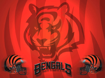 Cincinnati Bengals - fear da tiger!
