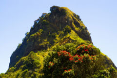 peak of life - peak of life.