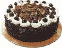 cake - delicious chocolate cake