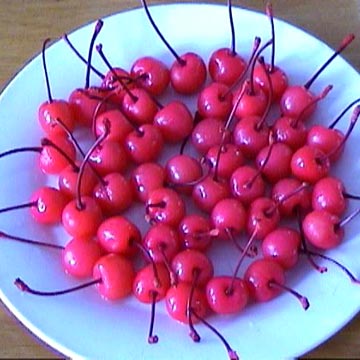 Plate Of Cherries - That's my supper!