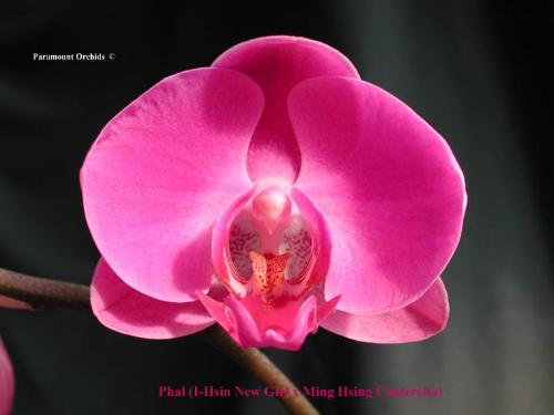 miracle - How can we witness such perfection in nature and still believe that we were somehow created flawed?