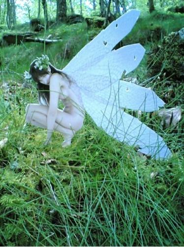 Fairy - Do you wanna meet with fairy? I really wanna were in fairy palace..