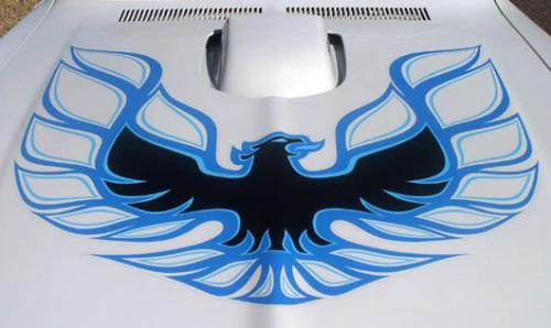 1978 Pontiac Firebird Hood Logo - 1978 Pontiac Firebird black and blue hood logo on cameo white car