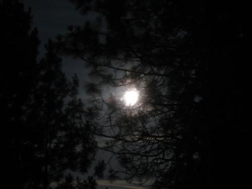 Moon - Shot of the Moon on July 1st, 2007