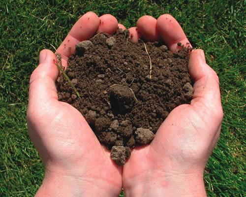 Help the Environment - Hands holding dirt above grass, protect the environment