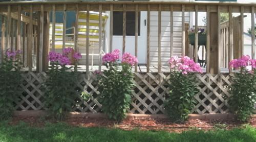 Nice & Neat - So neatly placed aren't they?