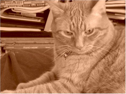 It's Good To Be The King - My cat, Sid. He rules his world.