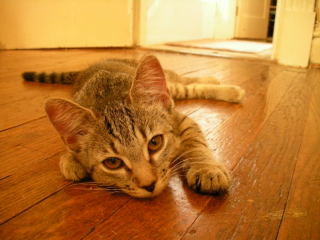 Princess Samantha - And here's the princess...