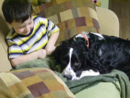 One boy and his dog. - My step gnrandson and my English Springer Spaniel, Leo