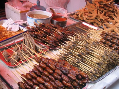 rodents and insects.. - These are bar b qued rodents and insects being served in china.