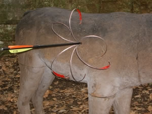 3D Robinhood - This is an awesome picture of a terrific robinhood shot in a 3D animal.