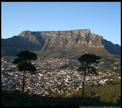 cape town - table mountain