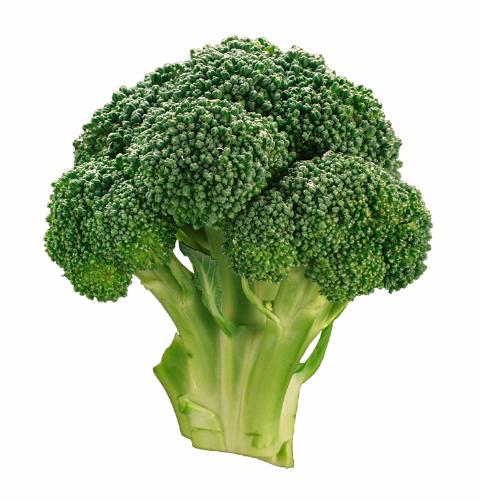 broccoli - its just broccoli, deal with it