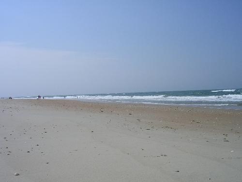 Ocean - Here is a picture of the beach on Shackleford Island. It is great for swimming, seashell collecting and seeing the wild mustangs on the island.