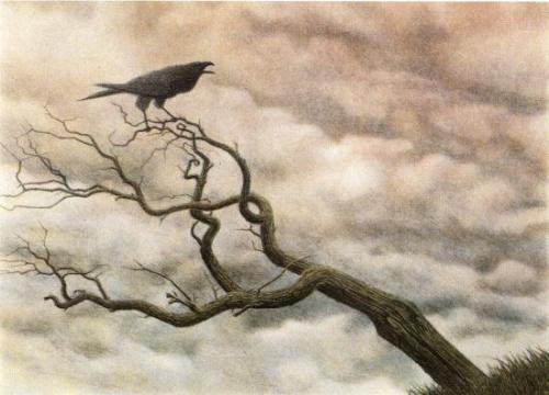 raven in a tree as in the raven by poe - raven in a tree as in the poem the raven by poe