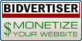 Google Adsense or Bidvertise, which one u recommen - Which one would you recommend for my blog ?