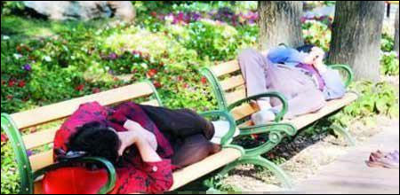 nice sleep again in the park - i bet you dont see it much in your country.