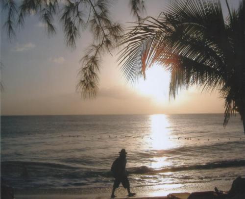 beach - beach in barbados