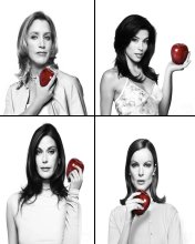 desperate housewives - They are all very charming.