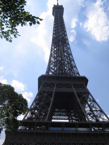 eiffel tower - the eiffel tower in paris (France)
