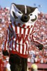 bucky - bucky Badger