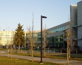 college - cite collegiale