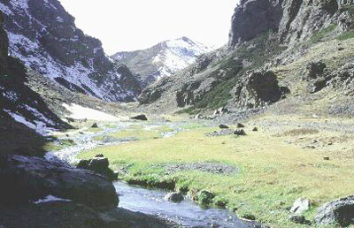 Mongolia - They are mountains in Mongolia.