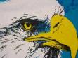 eagle - I love eagle