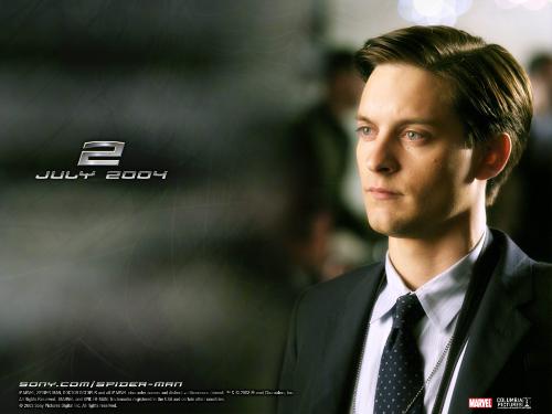 spiderman the movie-profile - Spider-Man 2 (2004): Spider-Man 2 picks up two years after the events of the first film. Peter is struggling with being Spider-Man and keeping the rest of his life in order. Peter's best friend, Harry Osborn, is out for revenge against Spider-Man, and the woman he loves, Mary Jane Watson, is about to marry someone else. Dr. Otto Octavius develops four mechanical, artificially intelligent arms to handle a fusion reactor he's creating. The reactor malfunctions, and the mechanical arms are melded to his body. With the arms giving him direction, Octavius sets out to build a bigger, stronger fusion reactor.