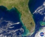 florida  - florida state picture