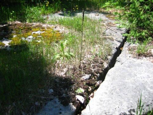 Hiking - Hiking in Kawartha Lakes