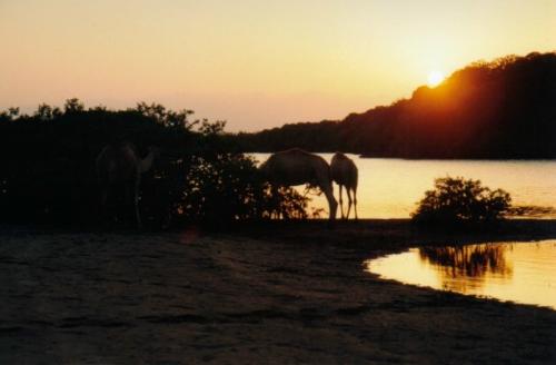 Djibouti - Sunset in the outbacks of Djibouti