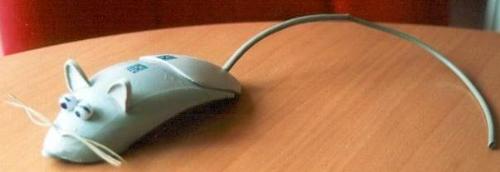 mouse - computer mouse