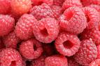 Raspberries - heaps of raspberries
