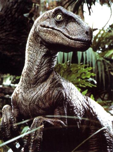 Dinosaurs - Velociraptor, dinosaurs